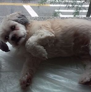 Meet your Posher, Maria